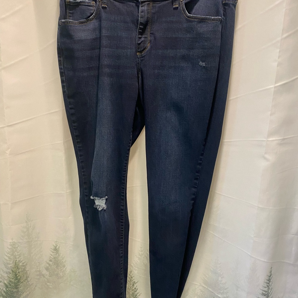 Sonoma Dark Wash Skinny Blue Jeans